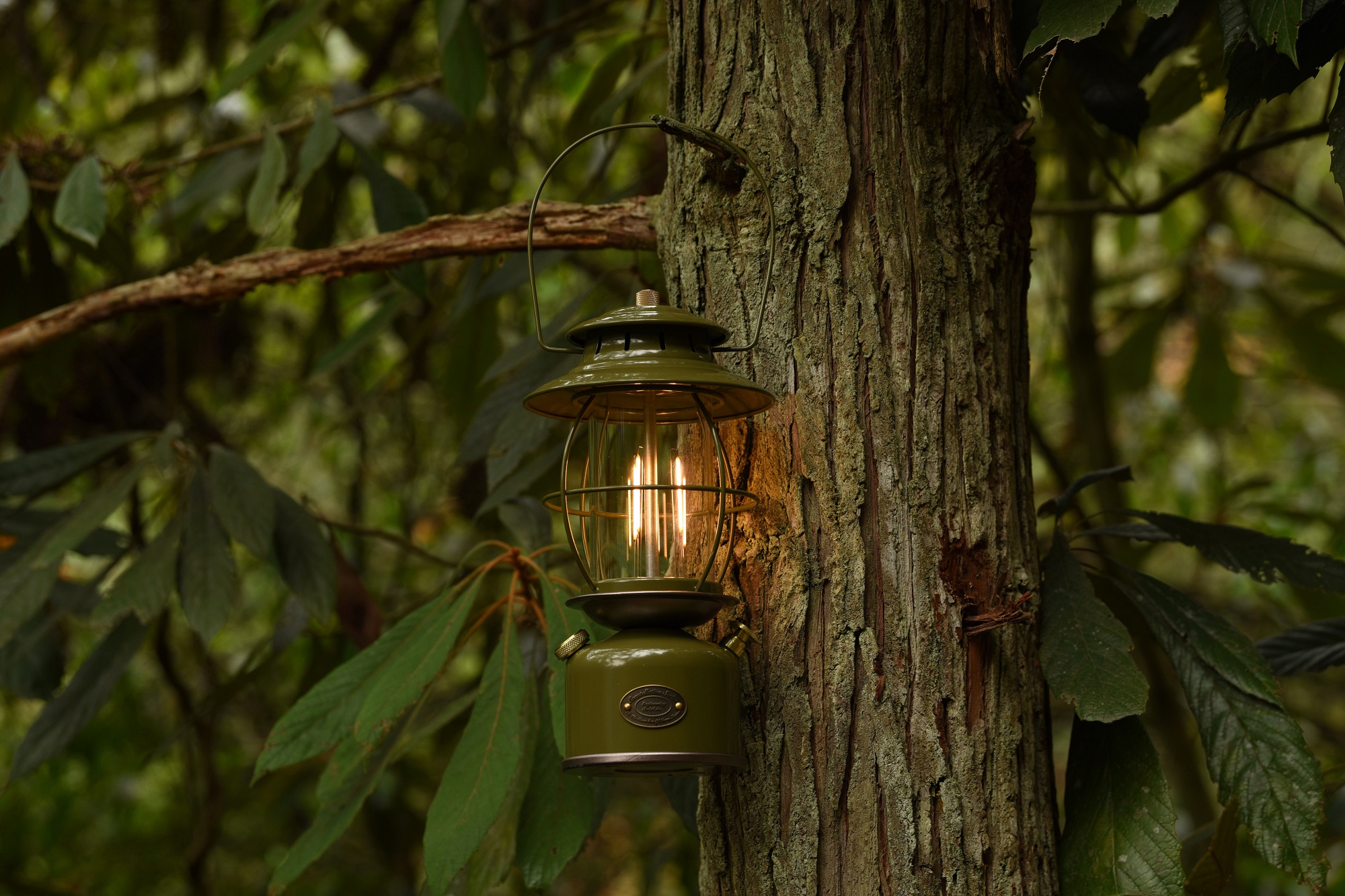 Sirius Green color camping Lantern - Image 2