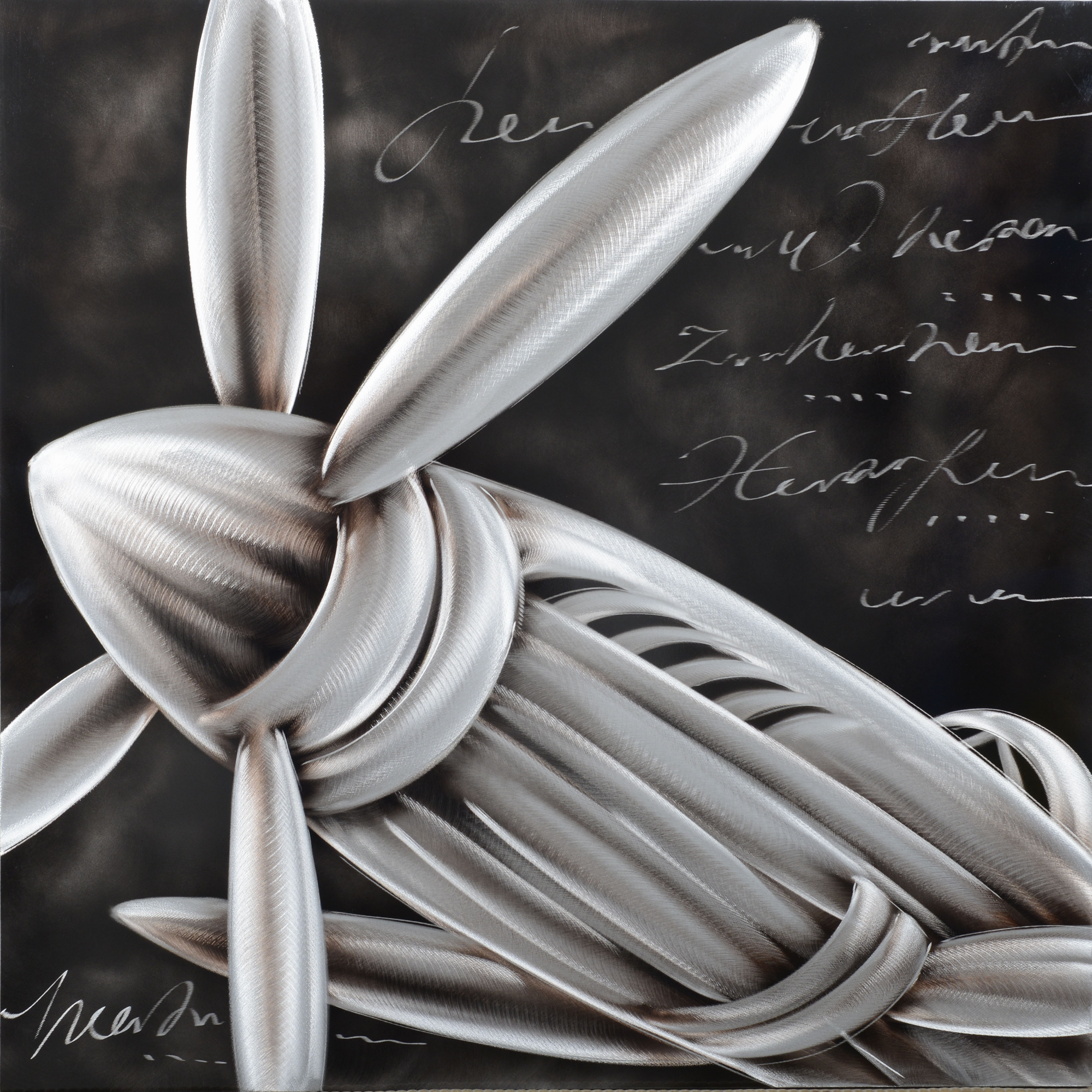 Nose of the Aeroplane - Image 2