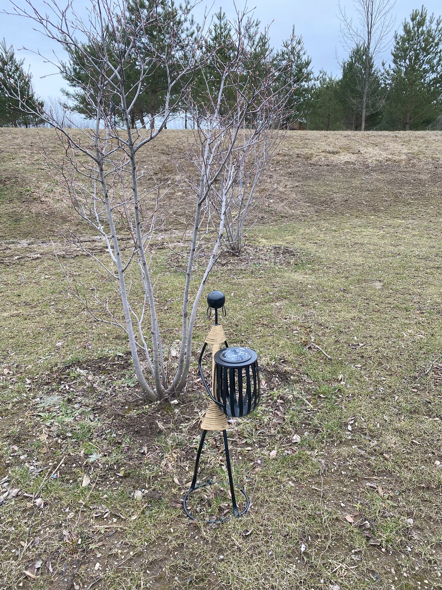 Artisanal Tribal-Inspired Solar LED Sentinel Abstract Tribal Lady Figurine Metal Sculpture holding with Solar light - Image 7